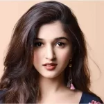 निधि शाह का जीवन परिचय।Nidhi Shah Biography in hindi निधि शाह