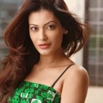 पायल रोहतगी का जीवन परिचय |Payal Rohatgi Biography in hindi पायल रोहतगी का जीवन परिचय |Payal Rohatgi Biography in hindi