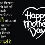 मदर्स डे क्यों मनाया जाता है, निबंध, कविता Mothers Day, Poem Essay in Hindi मदर्स डे क्यों मनाया जाता है, निबंध, कविता Mothers Day, Poem Essay in Hindi